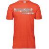 3065 Adult Extra Soft Tri-Blend T-Shirt Thumbnail