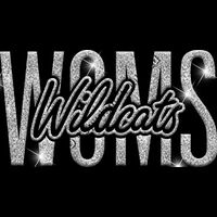 GLT95 SILVER GLITTER Thumbnail