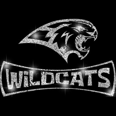 GLT94 SILVER GLITTER Thumbnail