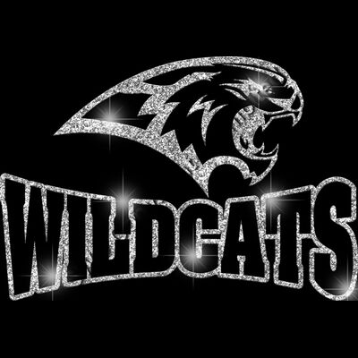 GLT32 SILVER GLITTER Thumbnail