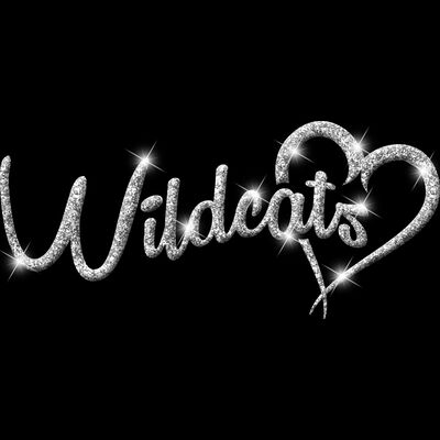 GLT6 SILVER GLITTER Thumbnail